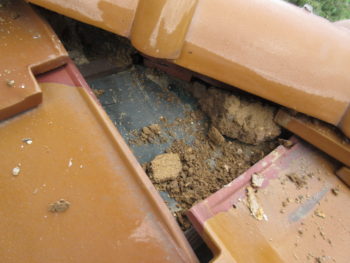 雨漏り原因,屋根調査,点検