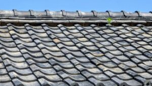 福山市で屋根掃除を業者に依頼するメリット